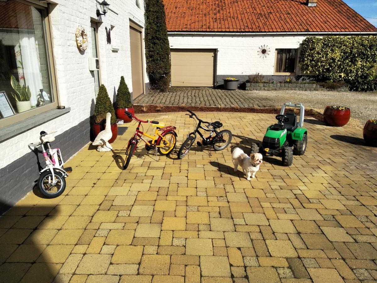 B&B Het Polderhof Jabbeke  Exterior photo